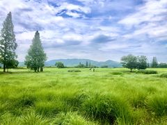-良渚古城遗址公园
