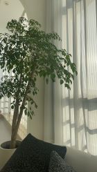 -JNK皮肤管理中心