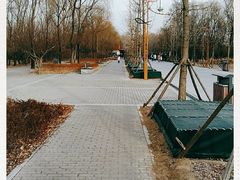 -野鸭湖国家湿地公园