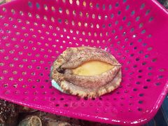小鲍鱼-盒马鲜生(皇庭广场店)