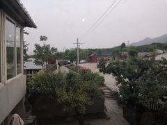 -闻道食府烙饼卷带鱼(原车耳营店原大觉寺店)