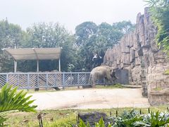 -成都动物园
