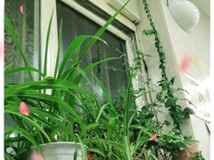 -金阁家常菜(贵阳路店)