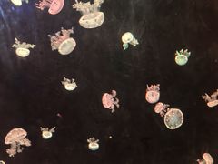 -欢乐海岸海洋奇梦馆