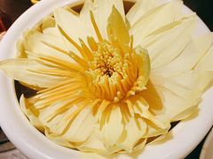 莲花鸡汤-甄御•海鲜新青岛菜(麦岛店)