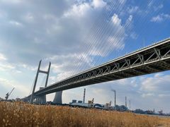 -上海浦江郊野公园-4号停车场