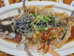 清蒸红眼鱼-下梅人家土菜馆(历史文化餐厅度假区店)
