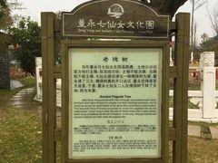 -董永七仙女文化园