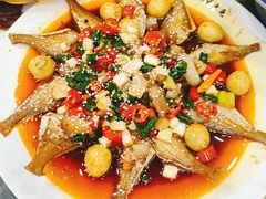 -江湖黑大兔(杨家坪店)