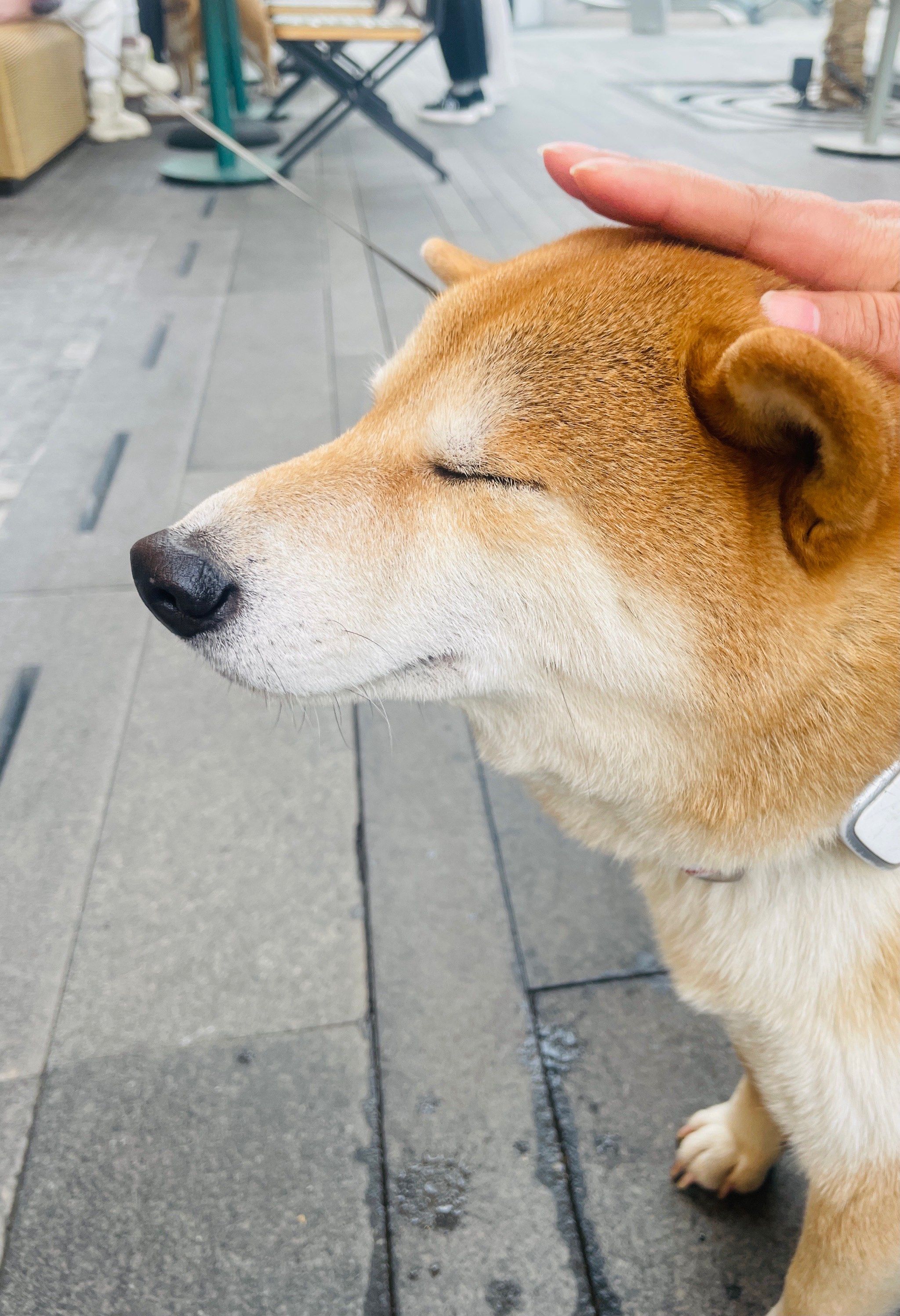 让我静静.
