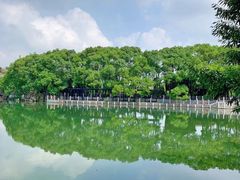 -白马涧龙池景区