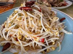 -山东单县风味羊肉汤馆(望园路店)