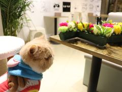 -小时光咖啡馆(开森度假森林店)