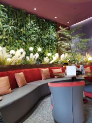 -花隐·美芙炫海菲秀皮肤管理中心