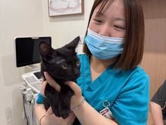 -美迦爱-牙专科·兔科·骨科诊疗中心(北苑店)