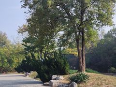 -元大都城垣遗址公园