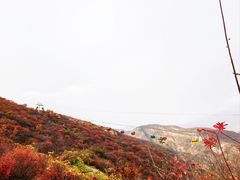 -周口店坡峰岭风景区