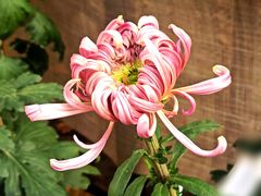 -共青国家森林公园-售票处