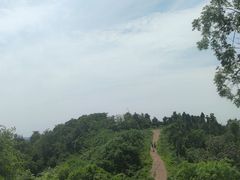 -青龙山国家森林公园