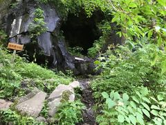 -望天鹅景区