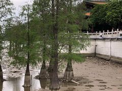 -顺峰山公园