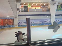 -正佳冰河湾真冰滑冰场