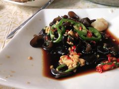 -百利鸽王(紫薇路店)