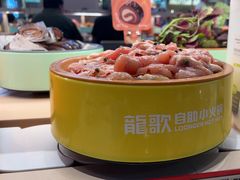 -龍歌自助小火锅(市北台东利群店)