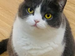 -荔康动物医院(康王北路店)