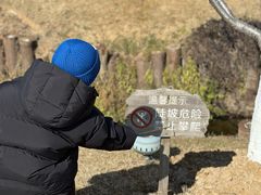 -羊山湖公园