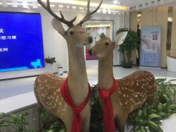 -润泽瑞尼丝医疗美容医院