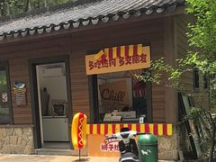 -东明山森林公园