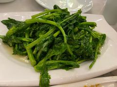 时令蔬菜-陈麻婆豆腐总店