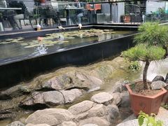-蘇河湾·新鲁菜·泰山宴(泰山店)