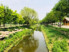 -东郊湿地公园