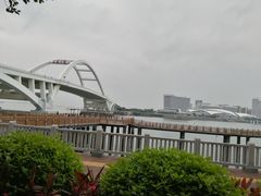-五缘湾湿地公园