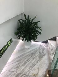 -悟空祛痘·诺奖技术专业店