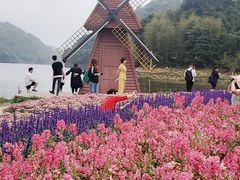-广州市石门国家森林公园