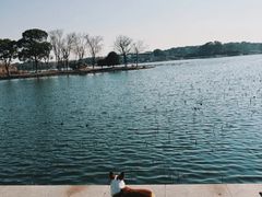 -阳澄湖半岛旅游度假区