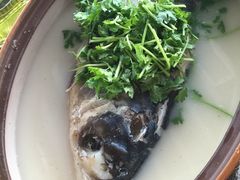 -风味小馆(天目湖宾馆店)