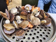 -东夷海鲜巨无霸(东夷小镇店)