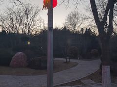 -大连植物园