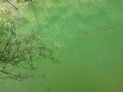 -山西通天峡景区