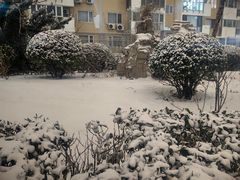 -田村(地铁站)