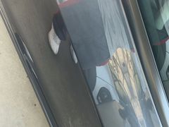 -名骏车业(园区星明店)