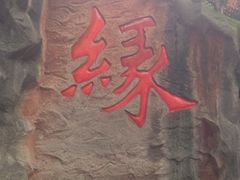 -杭州黄龙洞