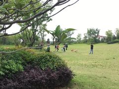 -上海崇明金茂凯悦酒店