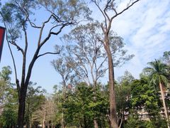 -广州市白云山风景名胜区