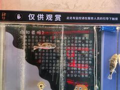 -肆月河豚·新淮扬菜·烤鸭(中关村店)