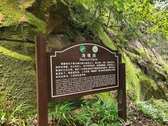 -缙云山景区